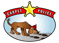 Air Duct Cleaning by Carpet Police